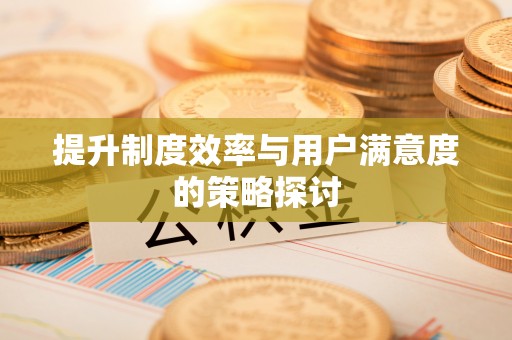 湘潭提升制度效率与用户满意度的策略探讨